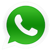 logo-whatsapp-100